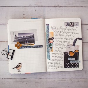 January journal