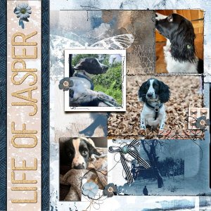 Life of Jasper 600