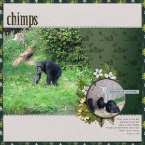 MOC 2026 Day 5 - Chimps