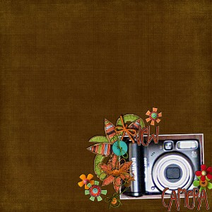 New camera