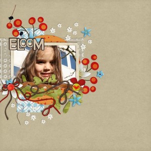 Bloom