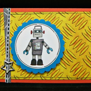Hybrid card