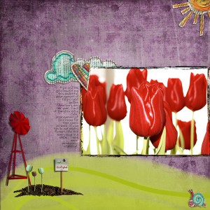 Tulip Arrangement
