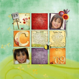 Carissa's 2009