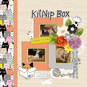 Day 5 - Recipe Challenge KitNip Box.jpg