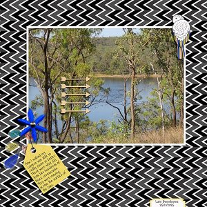 January 6-Chevrons or Arrows-Cormorants