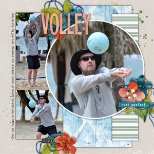 Volly 2023 Jamaica.jpg