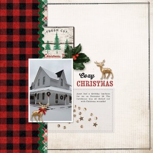 Day 11: Cozy Christmas