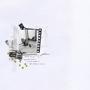 2601-MOC07-MirrorPhoto-copy.jpg