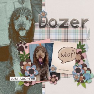 Jan-11-Dozer.jpg