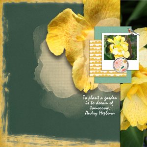 MOC Day 15 Template of Cannas.jpg