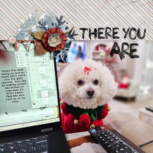 There You Are