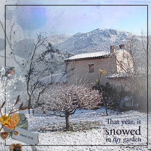 This year, it snowed in my garden