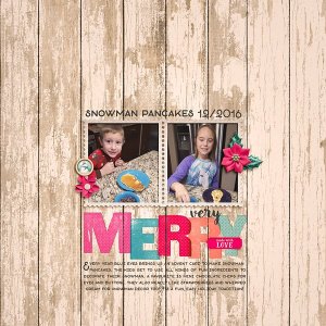 2016_12_Very Merry-MOC14.jpg