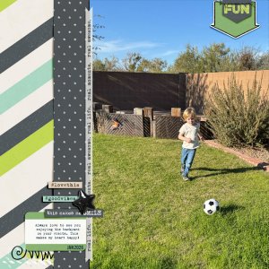 2601-MOC16-PlayBall-copy.jpg