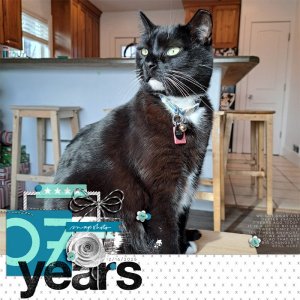 MOC13 16 - Large Photo - 7 years