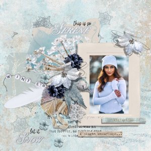 A Caught Snowflake
