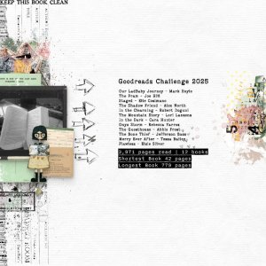 Goodreads Challenge 2025