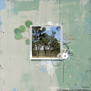 January 20 - Bingo - Gum Trees