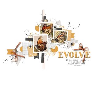 Evolve