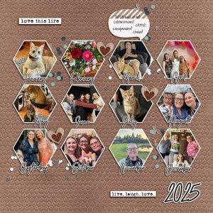 MOC13 Jan 21 - Year in Review - Amandac