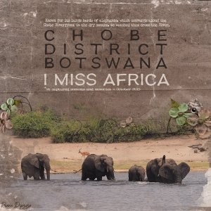 I Miss Africa