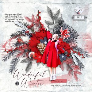 2012-Wonderful-Winter-memories.jpg