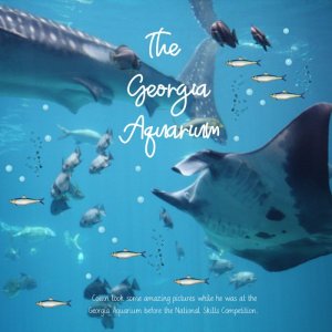 The Georgia Aquarium