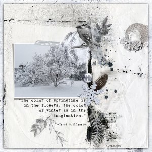 Imagination