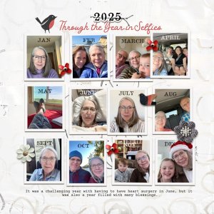 Through the Year in Selfies (take 2)