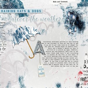 Whatever Weather - MOC 14