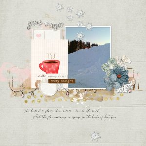 winter snow.jpg
