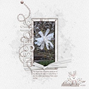 scrapchyck-Magnolia.jpg