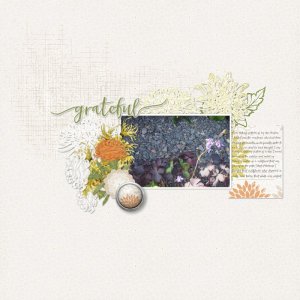 Wildflower.jpg