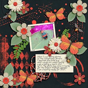January 29 - Filled Template - Little Bug