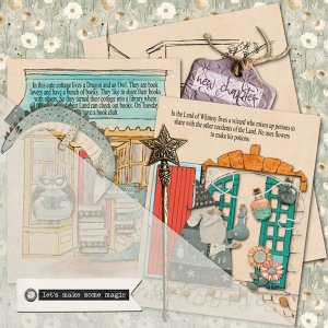 MOC13_Jan30_Pagewithinapage_janisn.jpg