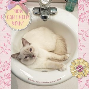 How Can I Help You? MOC28.jpg