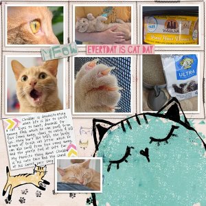 Moc 13 Day 17 - Cheddar Senses Grid