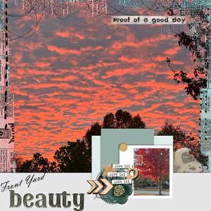 outdoor beauty.jpg