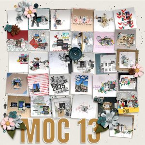 MOC 13 Collage