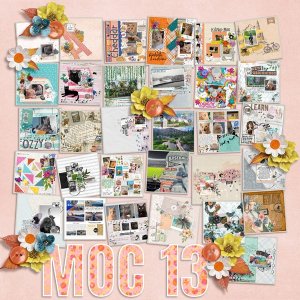 MOC-13-Layouts---angbrey.jpg