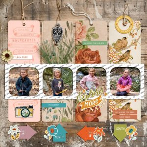 scrapchyck-Explore-More.jpg