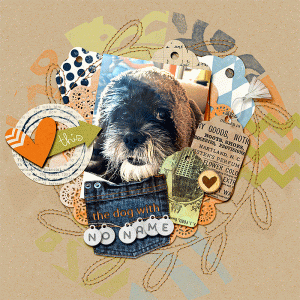 02-26-dog-no--name.gif