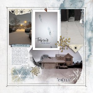 Footprints in the Snow