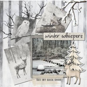 Out My Back Door - Winter