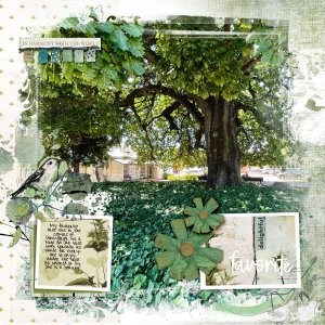 favourite tree .jpg