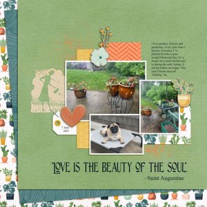 Love-Gardens-NGD-Feb-2026-challenge.jpg