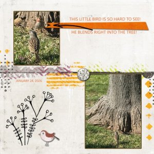Little Bird 8x8 72.jpg