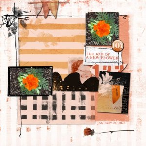 Joy of flower 8x8 72.jpg
