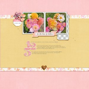 dahlia love | feb '26 still trending featured kits